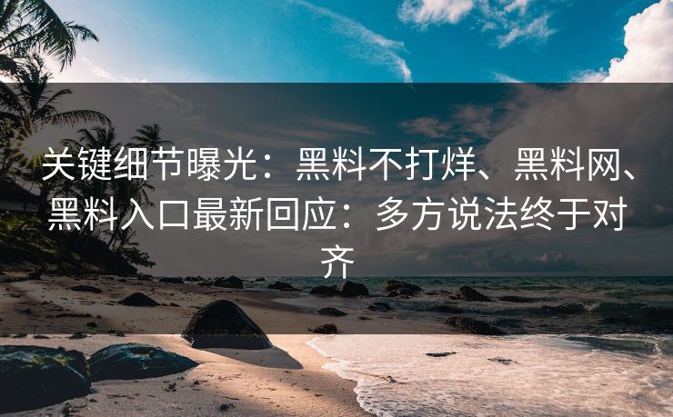 关键细节曝光：黑料不打烊、黑料网、黑料入口最新回应：多方说法终于对齐