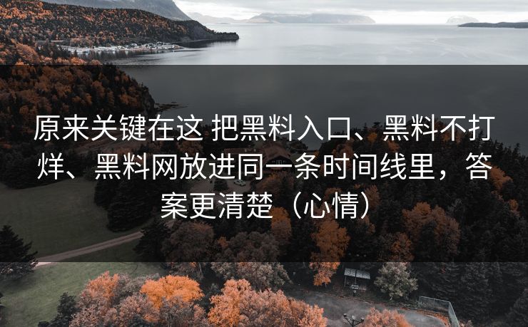 原来关键在这 把黑料入口、黑料不打烊、黑料网放进同一条时间线里，答案更清楚（心情）