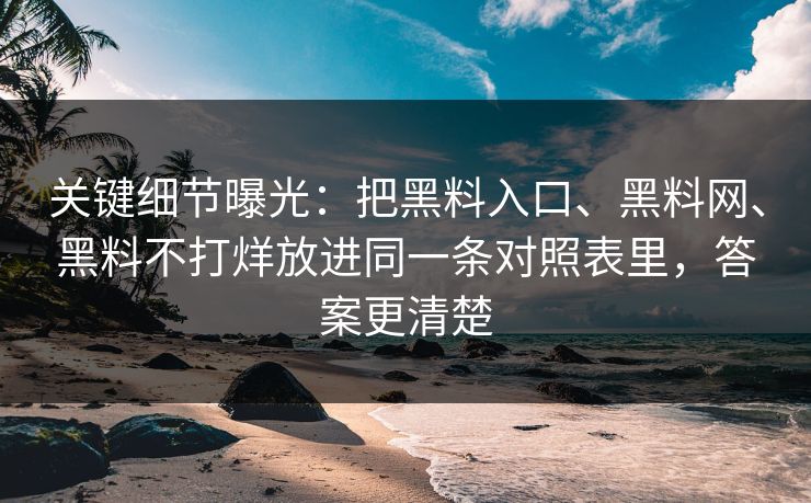 关键细节曝光：把黑料入口、黑料网、黑料不打烊放进同一条对照表里，答案更清楚