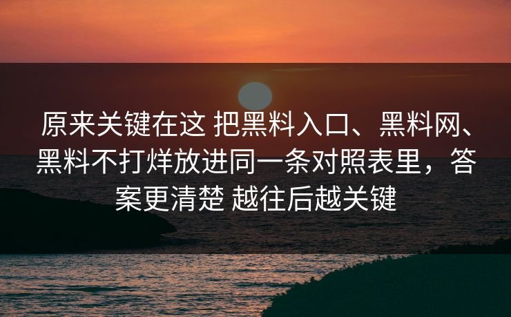 原来关键在这 把黑料入口、黑料网、黑料不打烊放进同一条对照表里，答案更清楚 越往后越关键
