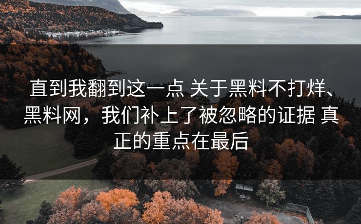 直到我翻到这一点 关于黑料不打烊、黑料网，我们补上了被忽略的证据 真正的重点在最后
