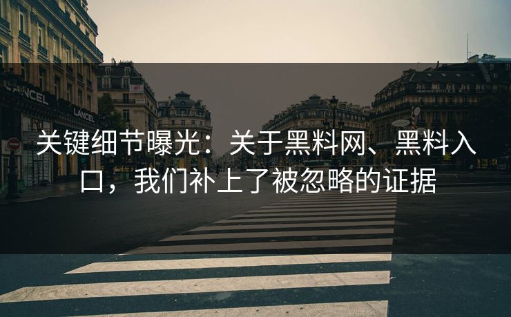 关键细节曝光：关于黑料网、黑料入口，我们补上了被忽略的证据