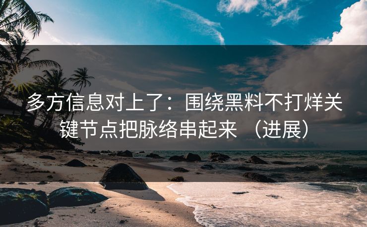 多方信息对上了：围绕黑料不打烊关键节点把脉络串起来 （进展）