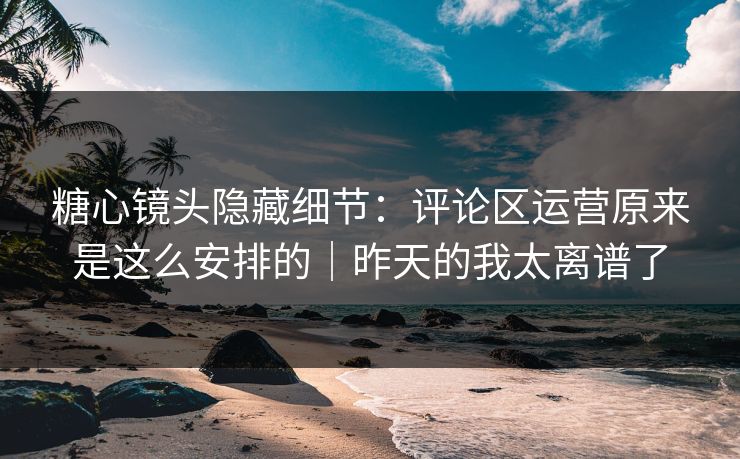 糖心镜头隐藏细节：评论区运营原来是这么安排的｜昨天的我太离谱了