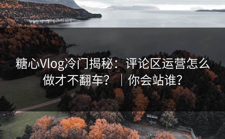 糖心Vlog冷门揭秘：评论区运营怎么做才不翻车？｜你会站谁？