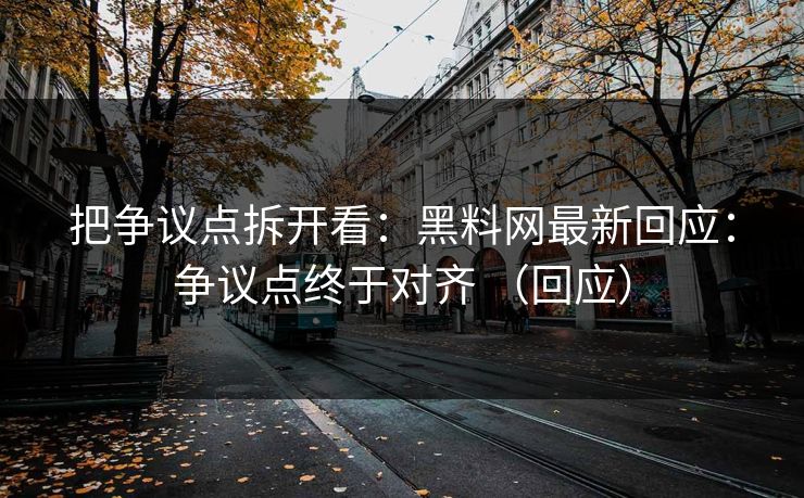 把争议点拆开看：黑料网最新回应：争议点终于对齐 （回应）