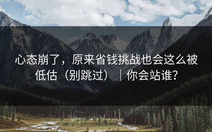 心态崩了，原来省钱挑战也会这么被低估（别跳过）｜你会站谁？