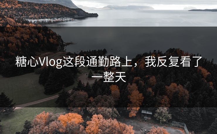 糖心Vlog这段通勤路上，我反复看了一整天