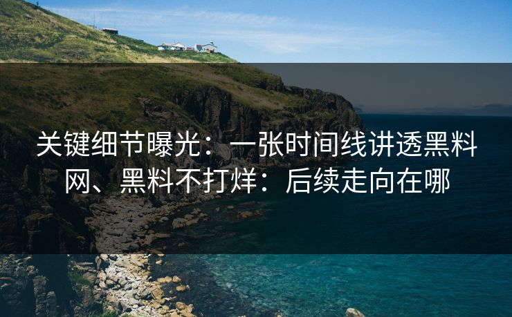 关键细节曝光：一张时间线讲透黑料网、黑料不打烊：后续走向在哪