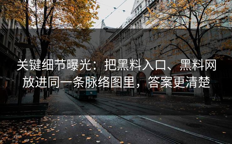 关键细节曝光：把黑料入口、黑料网放进同一条脉络图里，答案更清楚