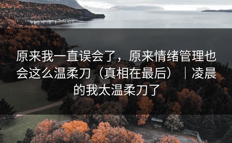 原来我一直误会了，原来情绪管理也会这么温柔刀（真相在最后）｜凌晨的我太温柔刀了
