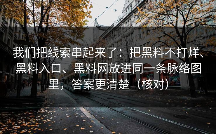 我们把线索串起来了：把黑料不打烊、黑料入口、黑料网放进同一条脉络图里，答案更清楚（核对）