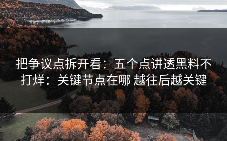 把争议点拆开看：五个点讲透黑料不打烊：关键节点在哪 越往后越关键