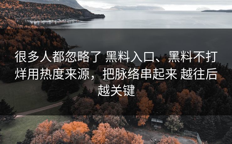 很多人都忽略了 黑料入口、黑料不打烊用热度来源，把脉络串起来 越往后越关键