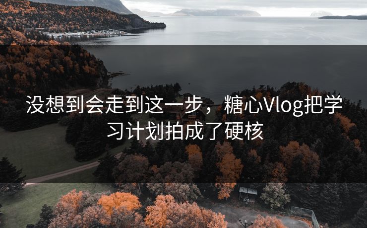 没想到会走到这一步，糖心Vlog把学习计划拍成了硬核