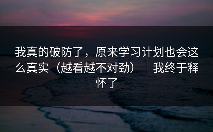 我真的破防了，原来学习计划也会这么真实（越看越不对劲）｜我终于释怀了